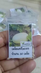 30 เมล็ด แตงไทยขาว แตงไทย เมล็ดแตงไทย เมล็ดพันธุ์แตงไทย