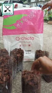 เปลือกสน Orchiata 3 ลิตร วัสดุปลูกกล้วยไม้ คุณภาพจากนิวซีแลนด์