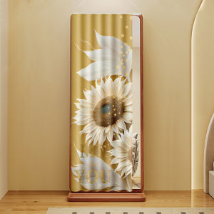 XILOUYUE | Elegant Dust-proof Full-length Mirror