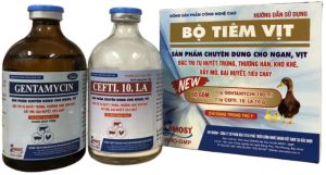 "Hoàn tiền đến 10%" Bộ tiêm vịt ngan ecoli bại huyết tụ huyết trùng khò khè gồm gentamycin và cefti. Thú y Trường Thịnh Gentamycin Và Cefti Dạng Bột Điều Trị Tụ Huyết Trùng Và Thương Hàn - Lazada