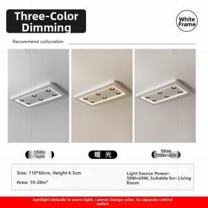 Modern Simple Luxury LED Ceiling Light