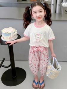 Baby Girl Summer Short Sleeve Suit 2024 New Arrival Summer Thin Clothes Girl Summer Mosquito Repelling Pants Two-piece Set