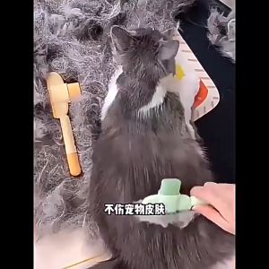 ที่แปรงขนสัตว์เลี้ยง รุ่นเบสิค สุนัข หวีแมว หวีหมา ที่แปรงขนสุนัข มีปุ่มดันขน แบบหมุด หวีแปรงขนสัตว์เลี้ยง CW50