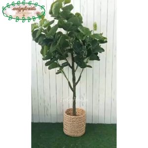 Pohon Hias Artificial Mangkokan X4 T140 Semi Latex Pot Dasar Hitam Cover Eceng Gondok Hiasan Ruang Tamu