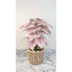 Tanaman Artificial Pohon Hias Calladium Pink Full X18 Semilatex Artificial Cover Keranjang Rotan Bulat Pajangan Dekorasi Ruangan Aesthetic