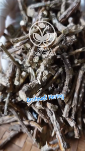 Brotowali Kering 250 gram / Bratawali Kering / Batang Brotowali Kering 100 gram Herbal Alami 100% Organik