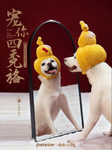 petstar | Warm Pet Hood