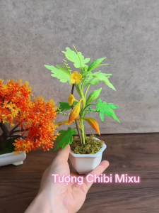 Chậu cây Khổ Qua 18cm bằng đất sét Nhật