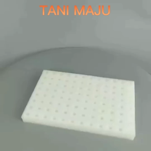 Penanaman Hidroponik Sponge 100 kiub dengan lubang untuk Benih Aquaponic Semai Benih Hidroponik Span percambaan/172