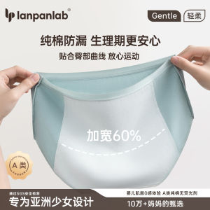 Girls Cotton Period Underwear Triangle Pants Leakproof mid Waist Design Pure Cotton Comfortable Briefs for Preteen Girls