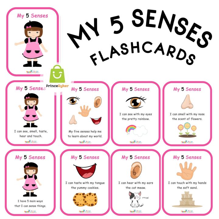 MY 5 SENSE Laminated Flashcards, 9 PCS Educational Flashcards for Kids, Toddlers, Preschoolers