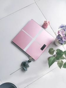 High Accuracy Body Fat & Small Electronic Weighing Scale: Intelligent Home Solutions