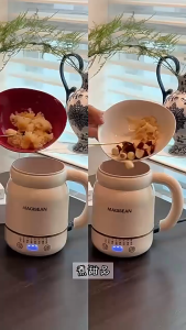 Travel Appliances 1L Electric Cooker Multi-function Electric Hot Pot Small Household Noodles Bowl All-in-one PotCawan termos elektrik 電癤杯--COD