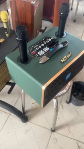 Loa Xach tay karaoke AZPRO AZ- D336 Chất Lượng Cao - với thiết kế mạnh mẽ vỏ gỗ bọc da tổng hợp sang trọng bảo hành 12 tháng