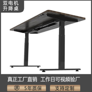 Electric Lifting Table Standing Automatic Adjustable Workbench Office For Home Computer Writing Desk Table Stand Customization