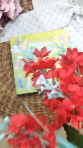 Buku Anak Board Book Kaus Kaki Dan Kaus Tangan Warna Warni