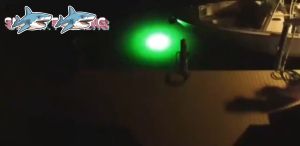 5M LED Submersible Fishing Light Deep Drop Underwater Fish Lure Bait Finder Lamp Squid Attracting 12-24V White/Green