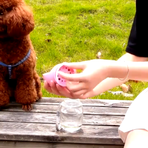 Puppy Water Bottle For Dogs Cat Feeder Outdoor Walking Hiking Drinking Bowl Water Dispenser