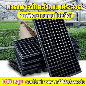 105หลุม ถาดเพาะกล้า ถาดเพาะชำ ถาดเพาะต้นกล้า ถาดเพาะต้นอ่อน ถาดเพาะเมล็ด ถาดเพาะปลูกผัก ถาดเพาะไฮโดร ถาดเพาะชำ