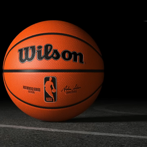 WILSON NBA Authentic Series Outdoor Basketball WTB7300XB07