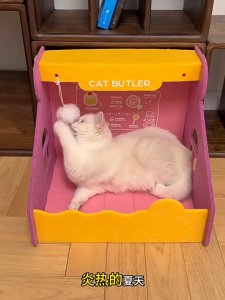 สักหลาดนอน ที่นอนแมว บ้านแมว ของเล่นแมว เบาะแมว อุโมงค์ กึ่งปิด เตียงแมวรับหน้าร้อน รูปทรงน่ารัก นอนได้ เล่นได้ ทำให้แมวรู้สึกปลอดภัย ร้านกาแฟ ร้านเค้ก ส่งของในไทย