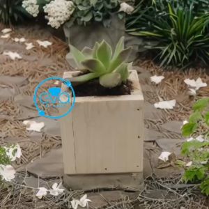 Chậu gỗ Vuông Trồng Cây Chậu Gỗ Trụ Vuông Để Bàn Hộp Gỗ Vuông Đựng Quà Trang Trí Decor Vuông 10 x 10 cm