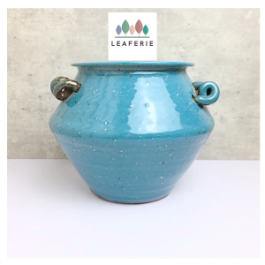 The Leaferie Signature Koji Plant pot Ceramic flowerpot flower plant pots planter planters