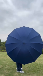 【SG】Sun protection dual-purpose large umbrella student folding sunny and rainy umbrella reinforced wind-resistant double umbrella sturdy and durable large umbrella