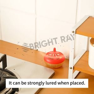 Fruit Fly Traps Lure Attractant Flying Insect Sticky Killer Catcher Food-Based Lure Fly Catcher Perangkap Umpan Lalat