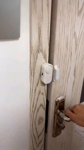 DOORS AND WINDOWS ENTRY ALARM