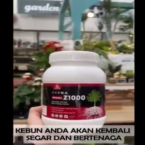 Pupuk Organik Jepang Dasshu Z1000 Beli 1 Gratis Pupuk B1 Liquinox