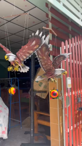 ้เหยี่ยวปลอม เหยี่ยวไล่นก อินทรีปลอม อินทรีไล่พิราบ นกไล่นก ไล่นกอื่นๆ ไล่นกพิราบ