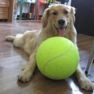 7/8/9.5 Inch Dog Tennis Ball Giant Pet Toys for Durable Chewing & Training Supplies