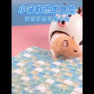 Pet Cooling Pad / Tikar Penyejuk Hamster Guinea Pig Rabbit Hedgehog Cool Mat Bedding Accessories Crystal Stone 仓鼠降温板凉垫