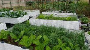 Chậu ghép thông minh HDPE/PP 200x100x39cm: Thẩm mỹ bền bỉ dễ lắp đặt phù hợp mọi cây trồng.