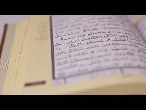 Tajweed Quran / Quran With Arabic Translation Velvet Edition (Suitable for wedding gifts A5 size)