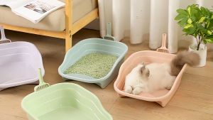 Khay vệ sinh cho mèo size lớn thành cao bằng nhựa PP thau cát chậu cát vệ sinh cho mèo - Medipet