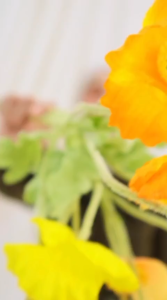 ATASAN NEW STEP NAURA BLOUSE TERBARU TERMURAH COCOK UNTUK LEBARAN ATAU ACARA KELUARGA