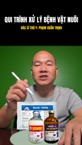 CHỮA MYCO SUIS HEO THỊT M2 OXYLIDON+ QUINOGOLD LA+PHỤC HỒI SIÊU TỐC