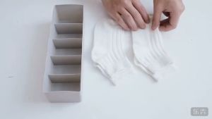 5 Grid Stackable Underwear Panties Socks Bra Storage Box Wardrobe Organizer 袜子内裤收纳盒 Bekas Stokin -SO33