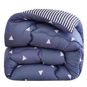 Thickened Warm Cotton Quilt Core