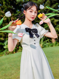 Lagogo Summer New Ladys High Waist V-neck Butterfly Knot A-line Chiffon Dress Womens Fashionable Commute Pure Color Midi Dress