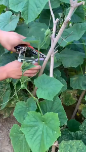 Pita Tapetool Paket 60 Roll + 1 Kotak Staples paket3in1