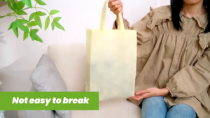 A3 A4 Size Plain Color Non Woven Bag Eco Friendly Shopping Tote Handbag Doorgift Gift Bags Beg Kain Murah 环保袋