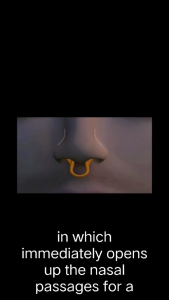 Airmax Nasal Dilator Classic/Improve Sleep Silicone Nose Clip/For Travel/Home Rhinitis Aid