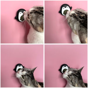 Cỏ bạc hà mèo catnip dán tường