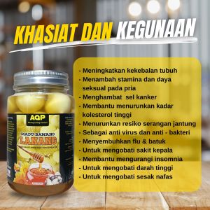 Madu Bawang Lanang Bawang Tunggal 325 Gram Premium Quality