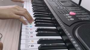 KAWES Transparent Piano Keyboard Stickers 49/54/61/88 Key Detachable Music Decal Notes Electronic Piano Spectrum Sticker