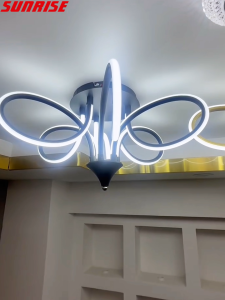 Nordic Modern LED Ceiling Light Simple Living Room Decorative Lamp Home Creative Dining Room Bedroom Light