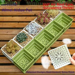 Yisheng | Creative Succulent-specific Pot Resin Reinforced Breathable Roots Control